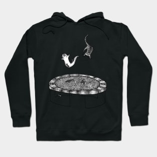 Otters on a Trampoline Hoodie